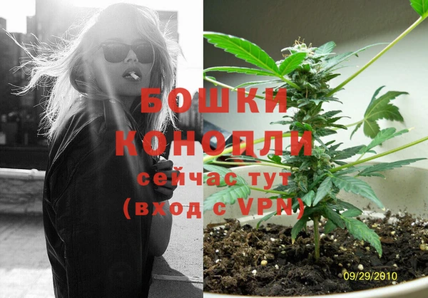 гидропоника Верея